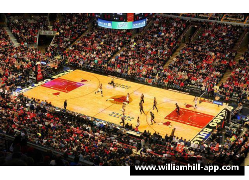 NBA黑帮：内幕揭秘球场上的权力与暗流