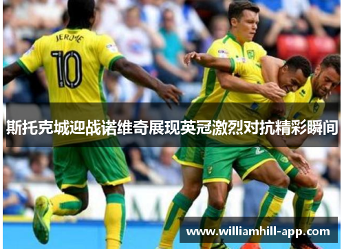 斯托克城迎战诺维奇展现英冠激烈对抗精彩瞬间