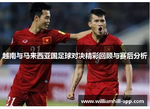 越南与马来西亚国足球对决精彩回顾与赛后分析